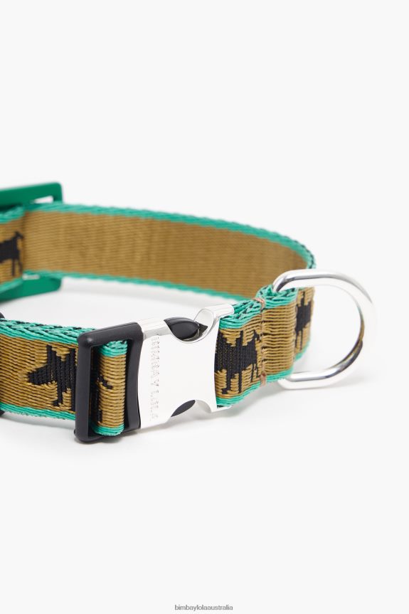 Accessories 4062VZ967 Khaki Bimba Y Lola Logo Pet Collar
