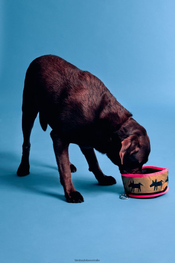 Accessories 4062VZ969 Khaki Bimba Y Lola Logo Pet Water Bowl